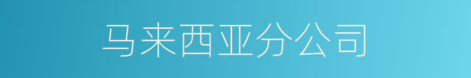 马来西亚分公司的同义词