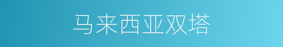 马来西亚双塔的同义词