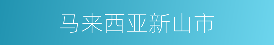 马来西亚新山市的同义词