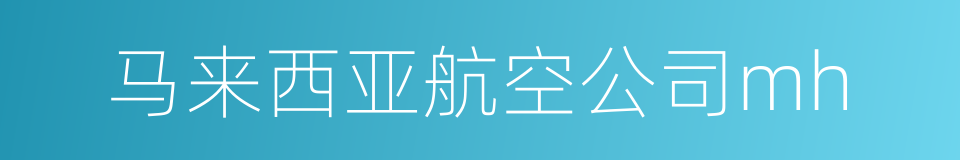 马来西亚航空公司mh的同义词