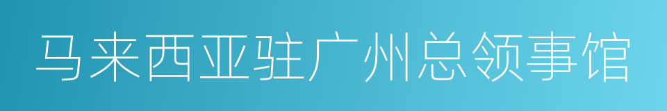 马来西亚驻广州总领事馆的同义词