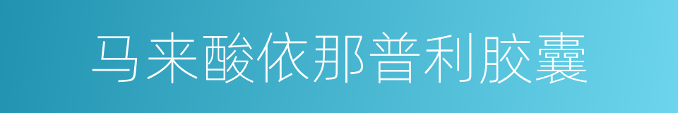 马来酸依那普利胶囊的同义词
