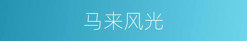 马来风光的同义词