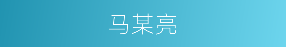 马某亮的同义词
