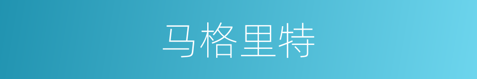 马格里特的同义词