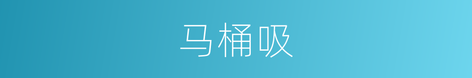 马桶吸的同义词