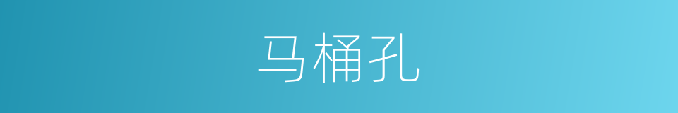 马桶孔的同义词