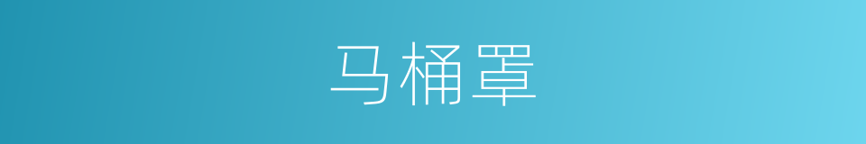 马桶罩的同义词