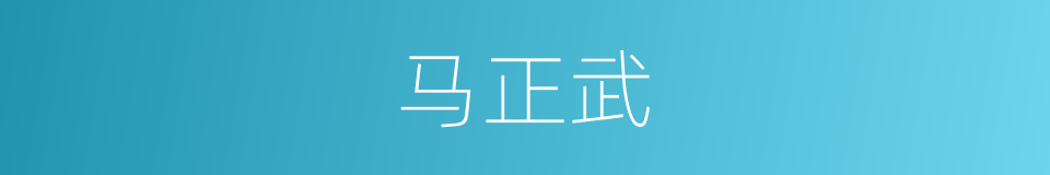 马正武的同义词