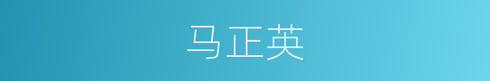 马正英的同义词