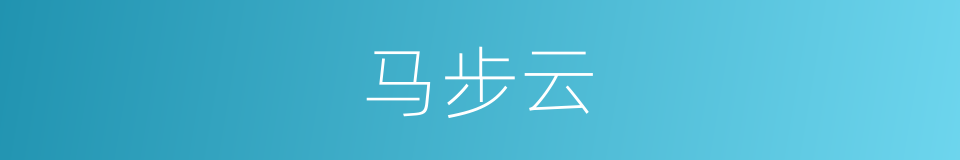 马步云的同义词