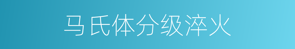 马氏体分级淬火的同义词