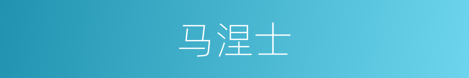 马涅士的同义词