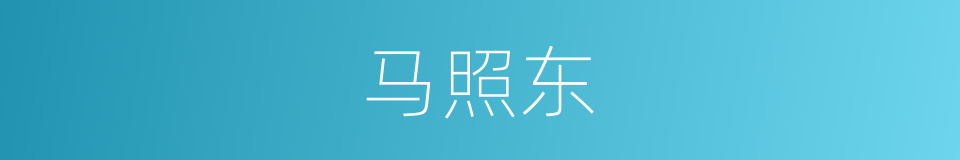马照东的同义词