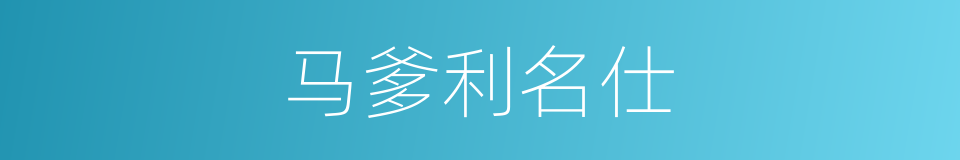 马爹利名仕的同义词
