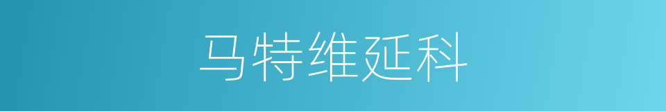 马特维延科的同义词