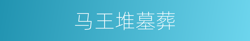 马王堆墓葬的同义词