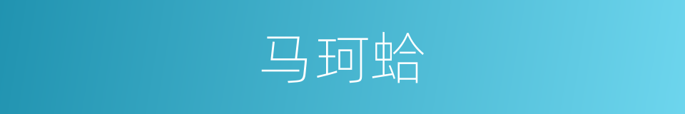 马珂蛤的同义词