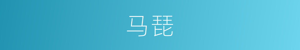 马琵的同义词