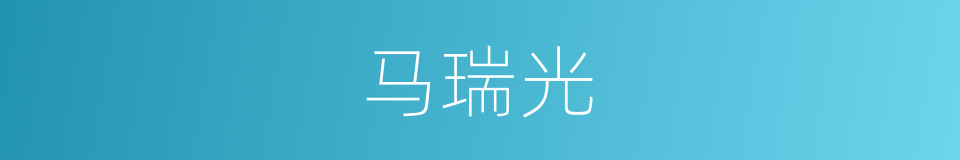 马瑞光的同义词