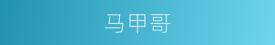 马甲哥的同义词