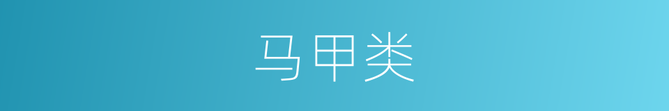 马甲类的同义词