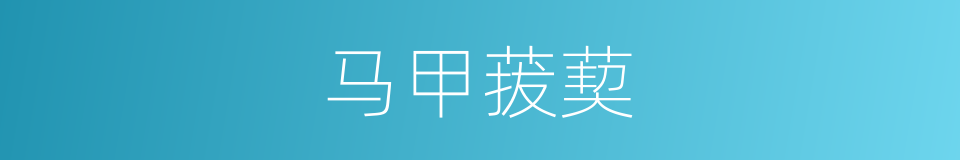 马甲菝葜的同义词