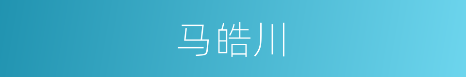 马皓川的同义词