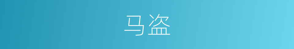 马盗的同义词
