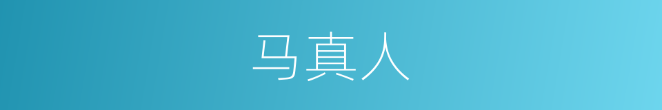 马真人的同义词