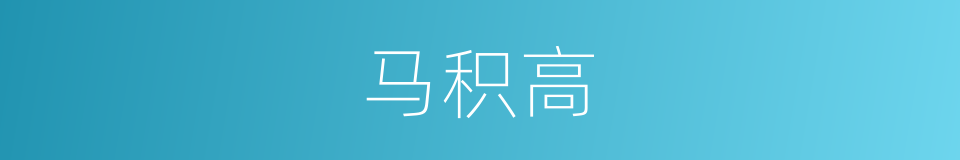 马积高的同义词