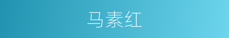 马素红的同义词