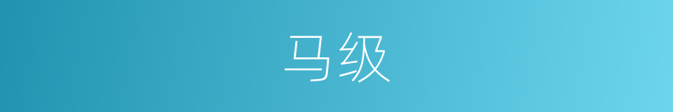马级的同义词