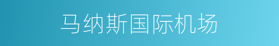 马纳斯国际机场的同义词