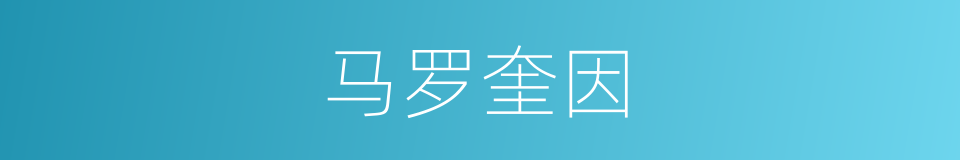 马罗奎因的同义词