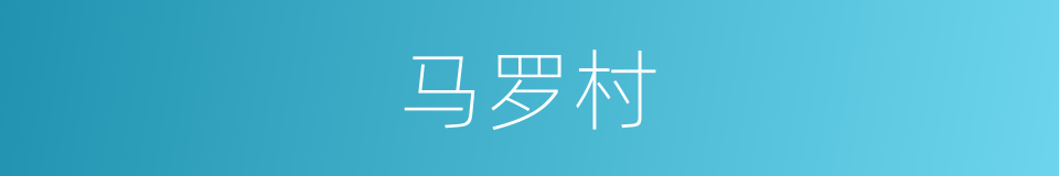 马罗村的同义词