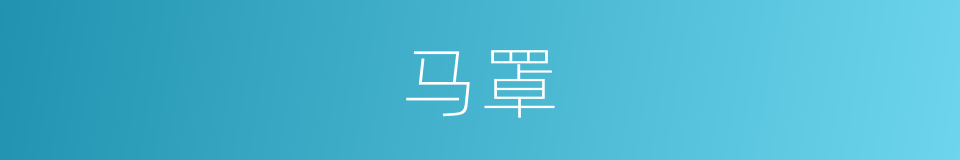 马罩的同义词