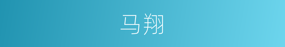 马翔的同义词