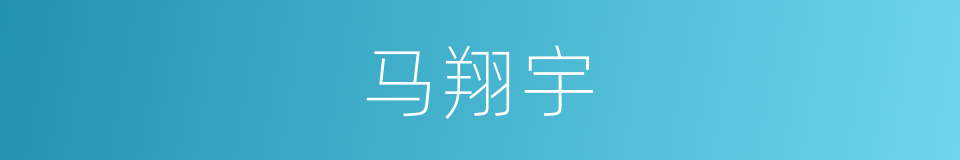 马翔宇的同义词