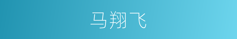 马翔飞的同义词
