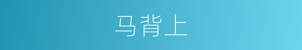 马背上的同义词