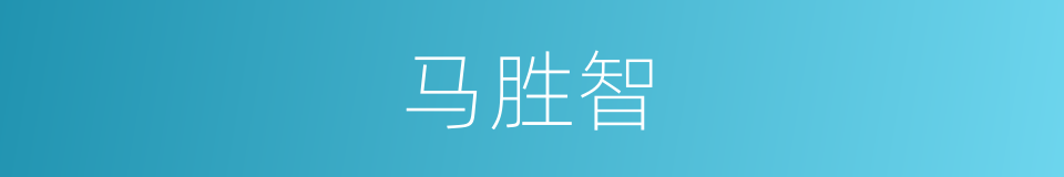 马胜智的同义词