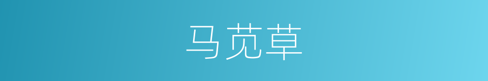 马苋草的同义词