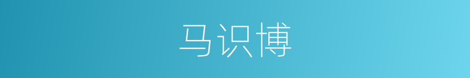 马识博的同义词