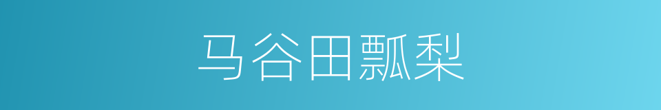 马谷田瓢梨的同义词