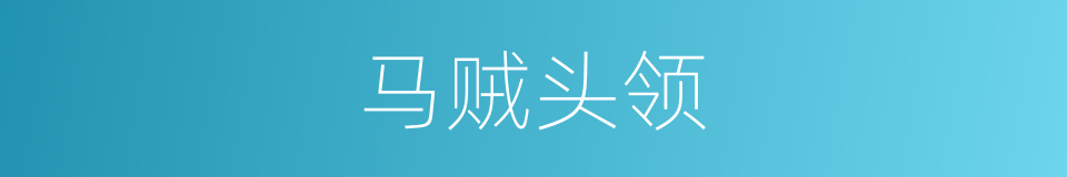马贼头领的同义词