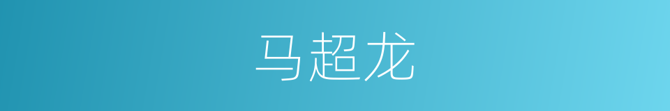 马超龙的同义词