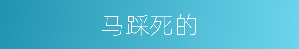 马踩死的的同义词