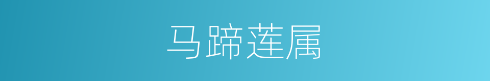 马蹄莲属的同义词