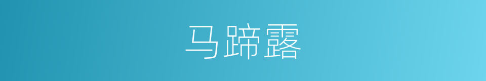 马蹄露的同义词